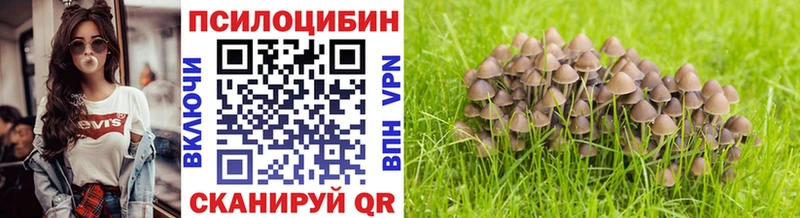 Галлюциногенные грибы мухоморы  Киренск 